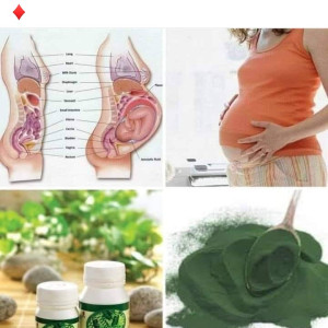 Natural Lina (immune booster)